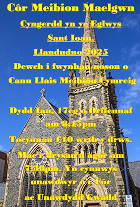 Poster Cyngerdd yn Eglwys Sant Martin, Eglwysbach 13/06/25